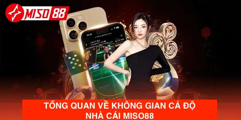 Giới thiệu thông tin sơ lược về không gian nhà cái Miso88