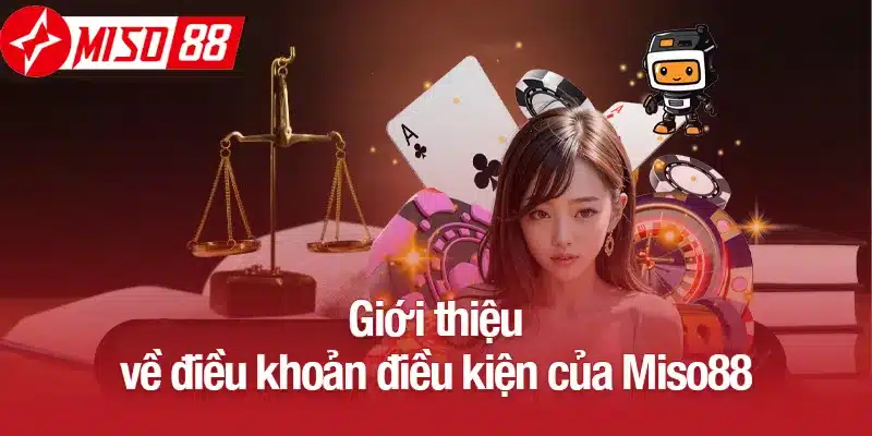 Giới thiệu về điều khoản điều kiện của Miso88