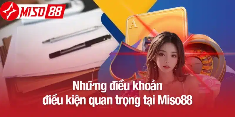 Những điều khoản điều kiện quan trọng tại Miso88