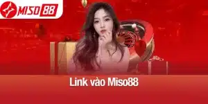 Link vào miso88
