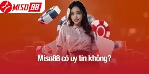 miso88 có uy tín không