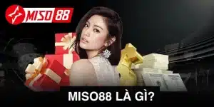 miso88 là gì