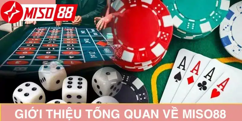 Miso88 - Thương hiệu nổi bật hàng đầu hiện nay