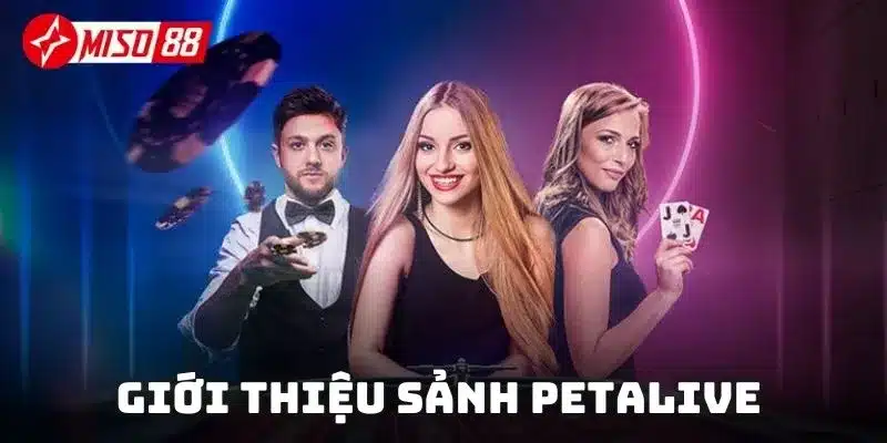 Giới thiệu sảnh Petalive cực chất với các bàn trực tiếp sắc nét
