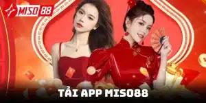 Tải app miso88