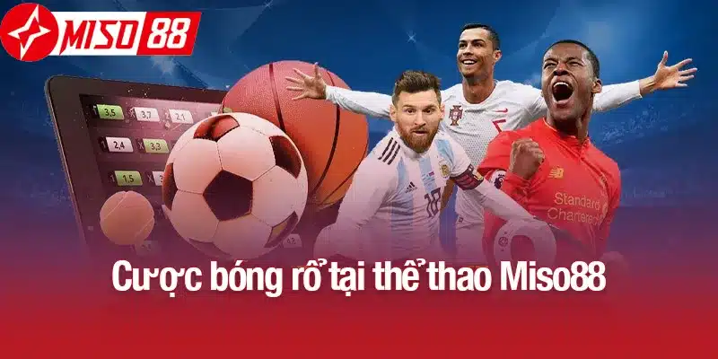 Cược bóng rổ tại thể thao Miso88