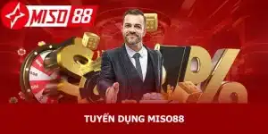 Tuyển dụng miso88